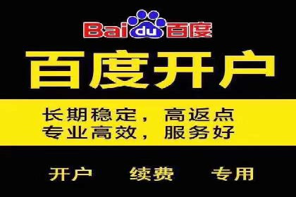 百度广告竞价之成功案例：某行业领军企业的崛起之路